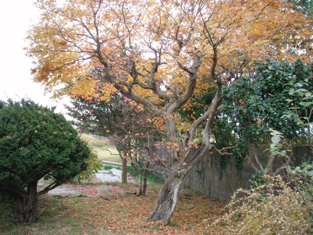 Guesthouse Hokkai Nanao Exteriér fotografie