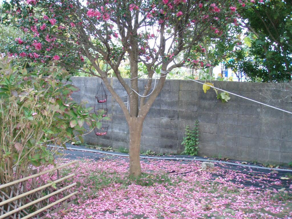 Guesthouse Hokkai Nanao Exteriér fotografie